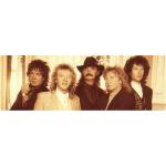 25-03-2015 - MCS_Marketing - Smokie Gold - banner.jpg